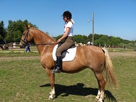 Ryttertræf på Lyngholm, 10. juni 2006