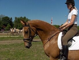 Så skal vi vises frem - 10. juni 2006